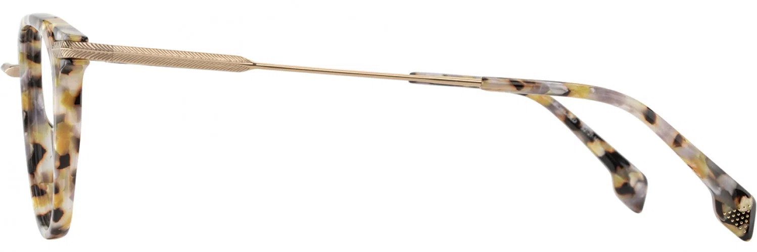 STATE Optical Co. DUSABLE Eyeglasses - view 15